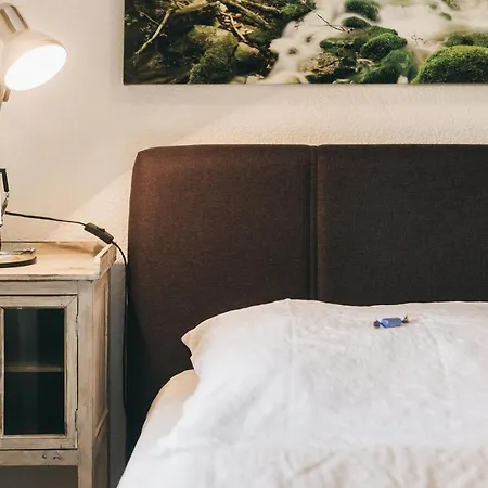 Ferienwohnungen Koenigstein Appartamento *